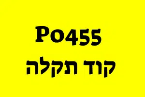 Read more about the article קוד תקלה P0455